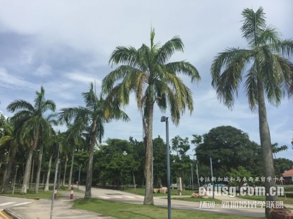 新加坡詹姆斯庫克大學研究生專業