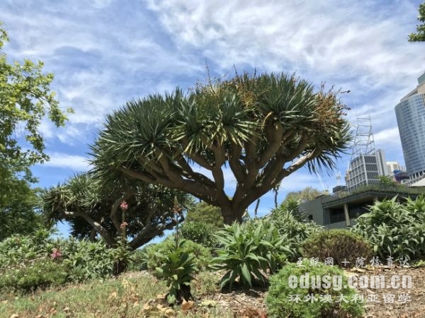 去澳洲留學要求有哪些