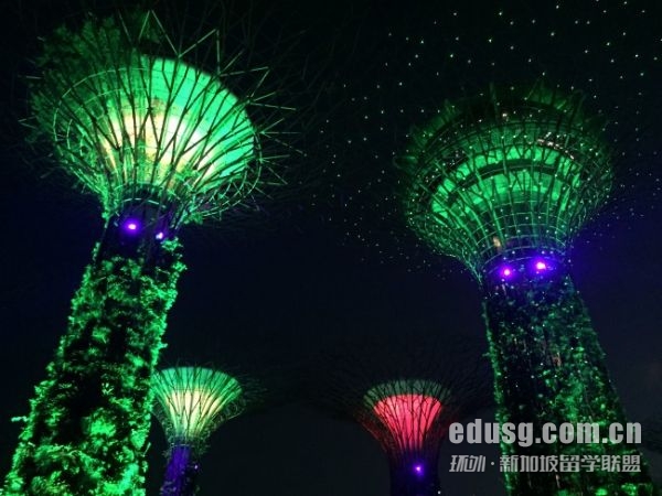 新加坡管理大學申請要求