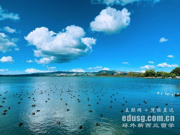 惠靈頓理工學(xué)院專業(yè)排名