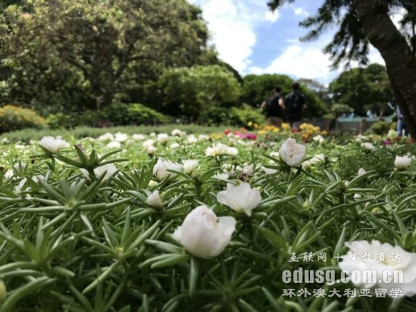 澳大利亞留學生休學