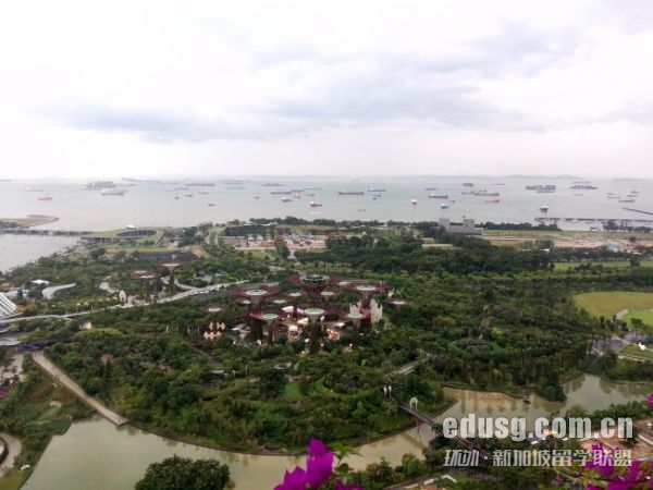 新加坡國立大學藥學碩士