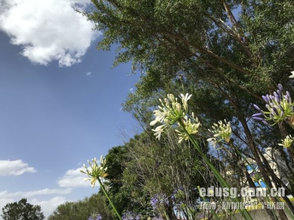 ӢW(xu)Ո