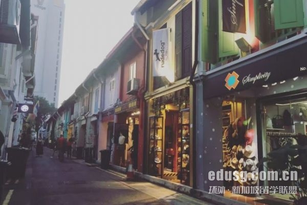 新加坡國立大學社會學碩士申請