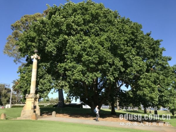 澳洲留學含金量高的專業