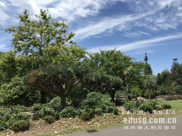 留學(xué)澳洲研究生條件