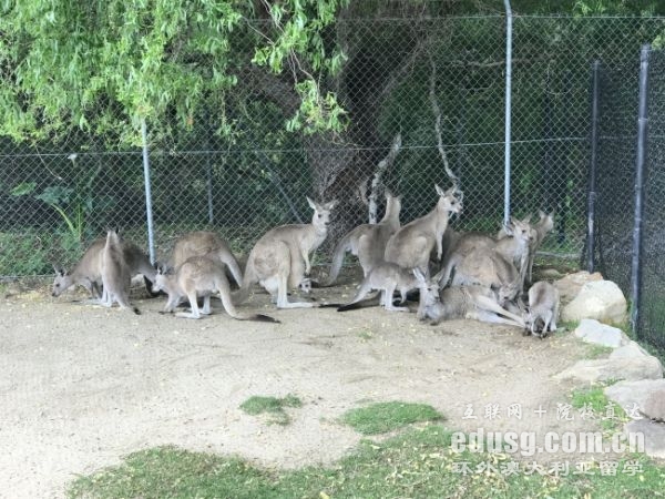 格里菲斯大學碩士前景