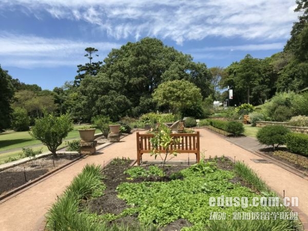 英國本科留學(xué)申請條件及其要求