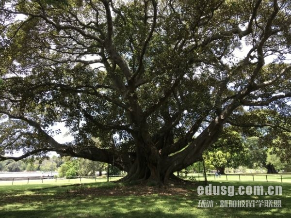 英國g5大學有哪些專業