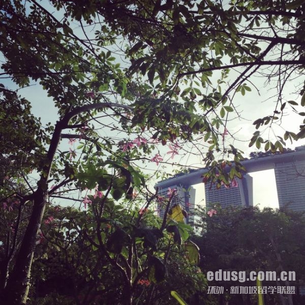 新加坡博偉國際教育學院