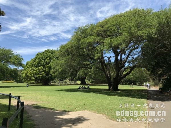 新南威爾士大學翻譯碩士學費