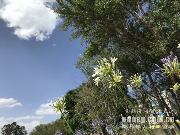 澳大利亞大學研究生