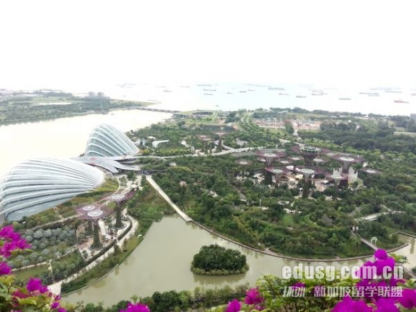 新加坡國立大學一年的費用