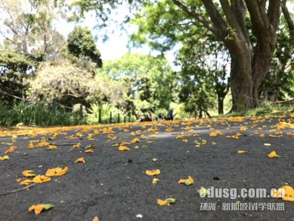 杜倫大學商學專業