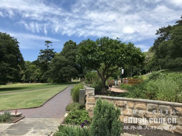 麥考瑞大學學費