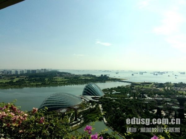 新加坡科廷大學本科費用