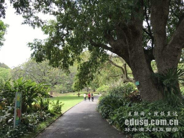 澳大利亞留學生條件