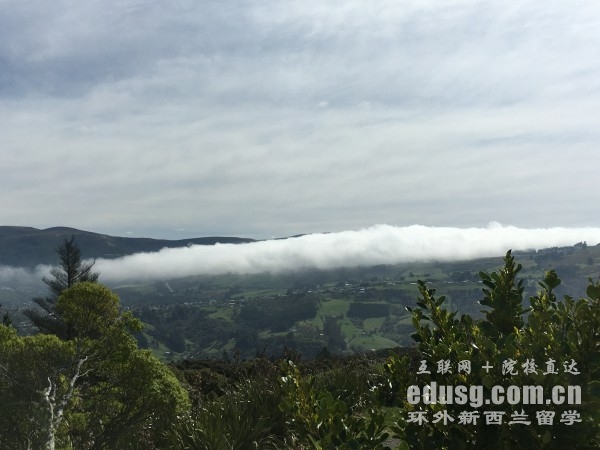 新西蘭奧克蘭大學(xué)留學(xué)的專業(yè)