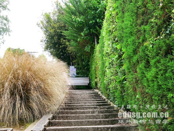 奧克蘭大學碩士留學