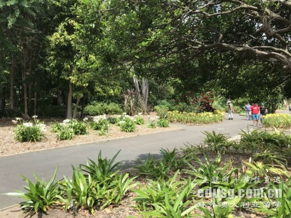 澳大利亞留學本科申請