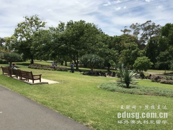 澳大利亞讀本科一年費用