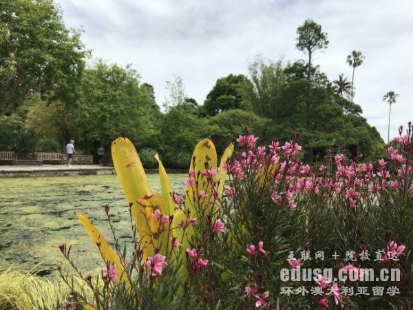 澳大利亞留學生學校