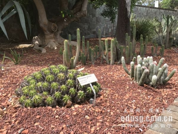 澳洲大學(xué)留學(xué)費(fèi)用一年多少