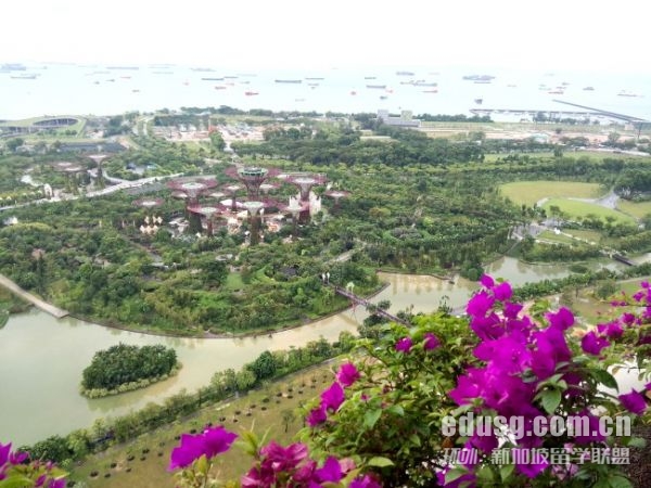 新加坡國立大學留學要求是什么