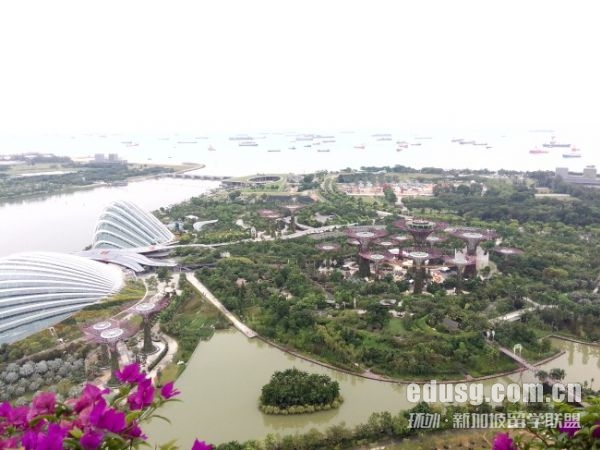 新加坡南洋理工大學會計專業學費