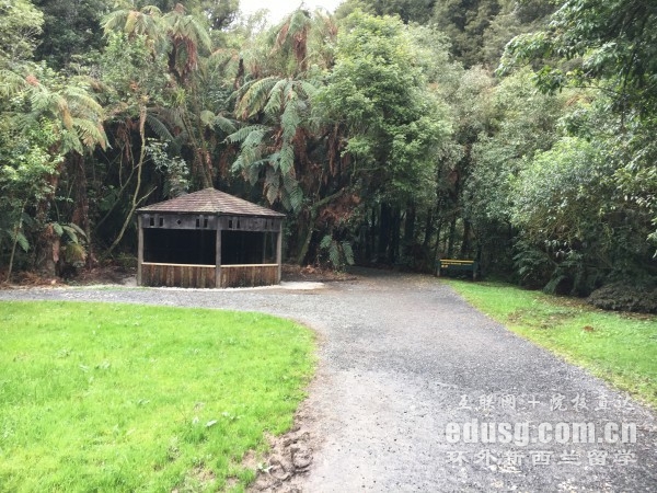 懷卡托大學一年多少費用