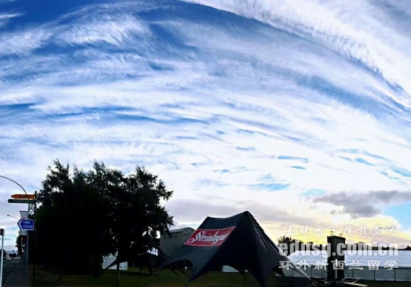 奧克蘭大學商科專業申請