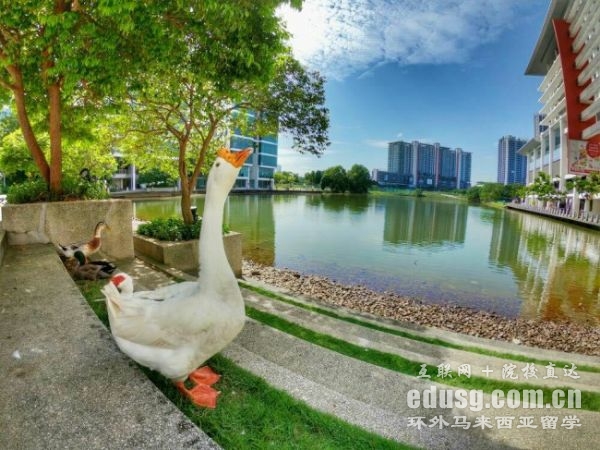 馬來西亞泰萊大學設計學學士