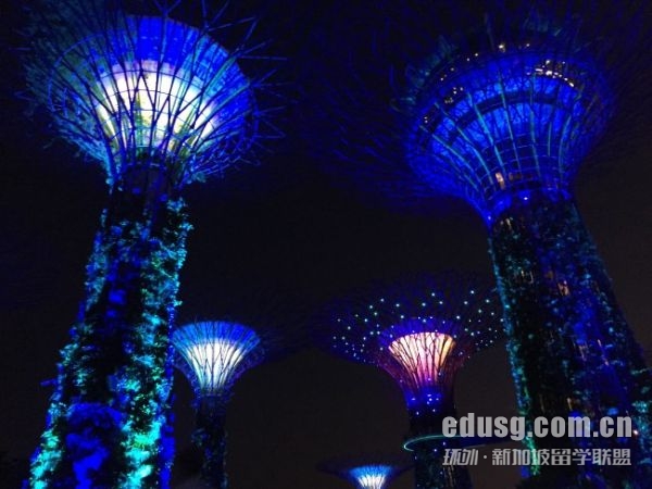 新加坡國立大學的費用多少錢