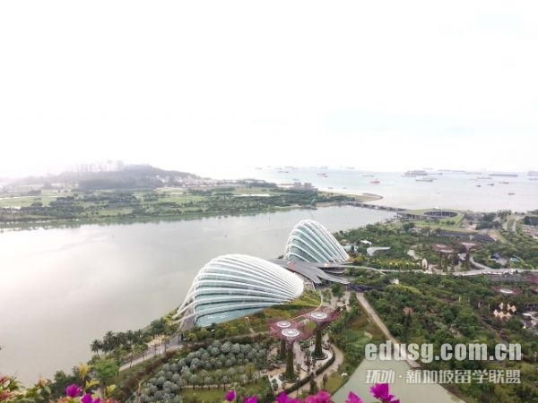 新加坡科廷大學申請要求