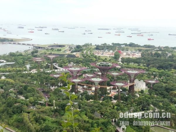 新加坡南洋理工大學會計碩士