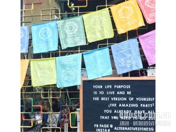 新加坡國立大學通信研究生