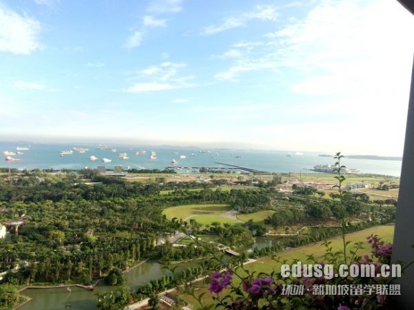 新加坡管理大學專業