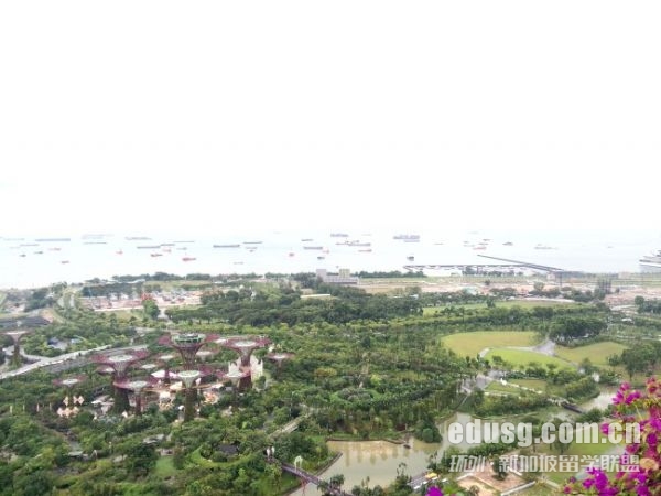 新加坡國立大學定量金融碩士