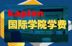kaplanHWԺWM