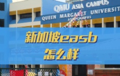 ¼easbô