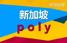 ¼poly