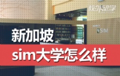 ¼simWô